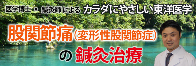 股関節痛・変形性股関節症の鍼灸治療