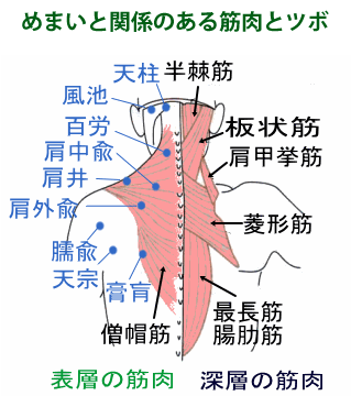 めまいに効くツボ