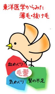 薄毛・抜け毛の原因