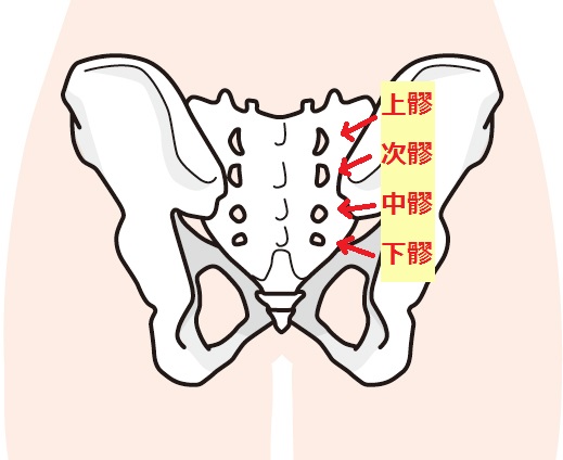 卵巣や子宮のトラブルに対する鍼灸とツボ | 福岡市天神の美容鍼灸院